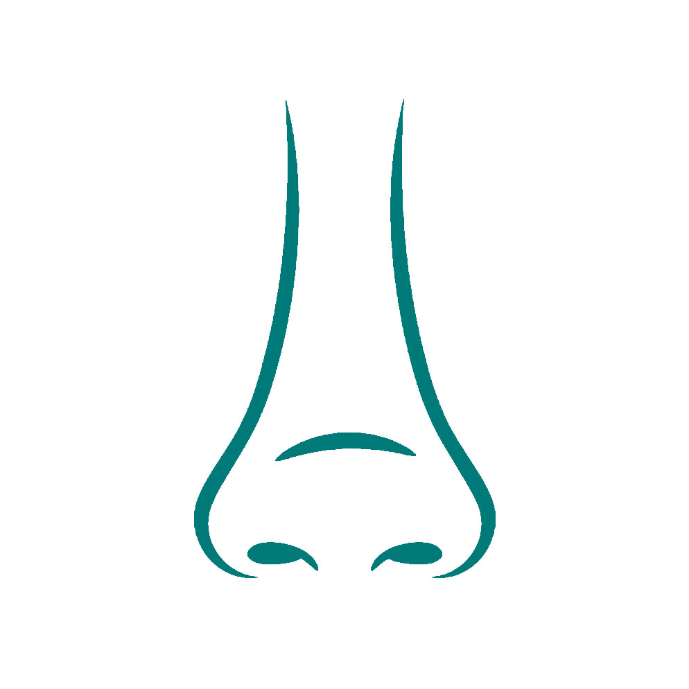 Revision rhinoplasty