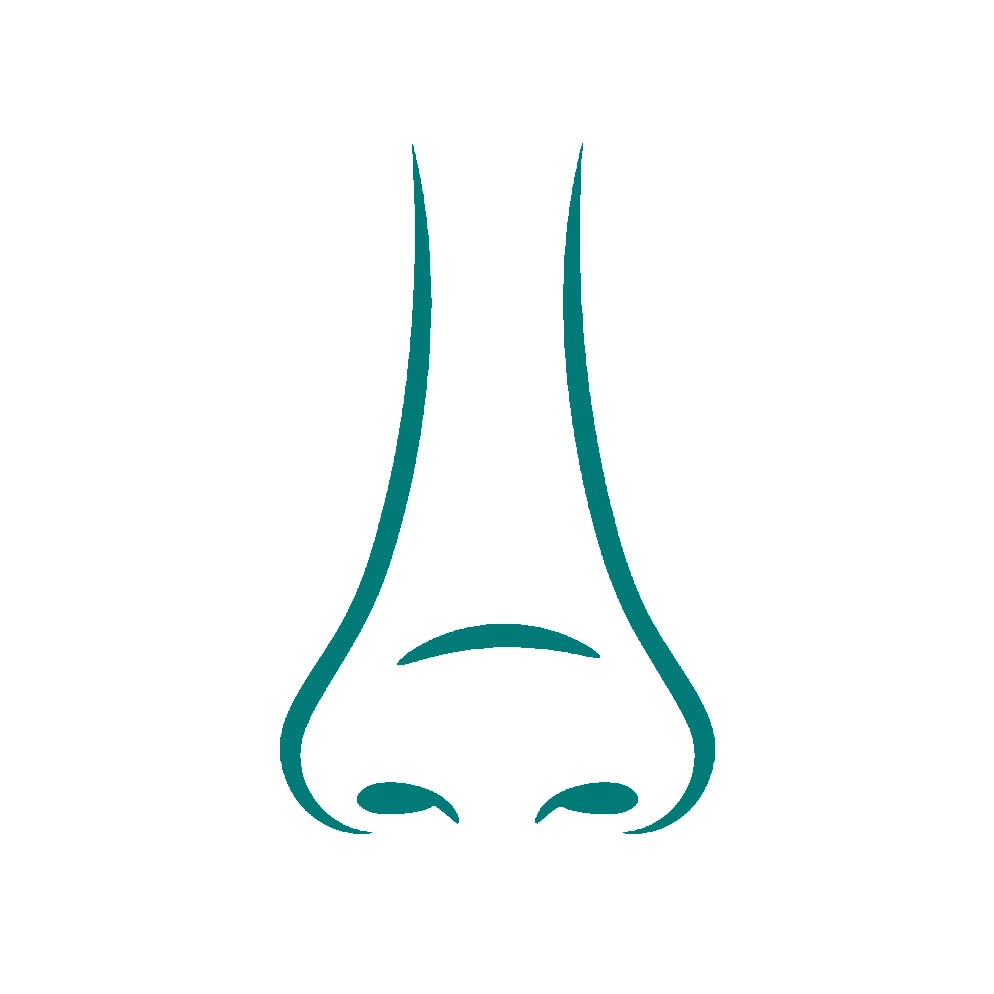 Rhinoplastie secondaire